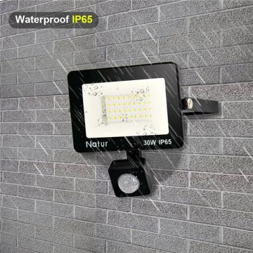 bapro 30W LED Security Lights with Motion Sensor, Slim Flood Light, IP65 Waterproof Flood Light Daylight White(6000K) Outdoor Lights 2019 New Series Perfect for Garden Garage [Energy Class A++]